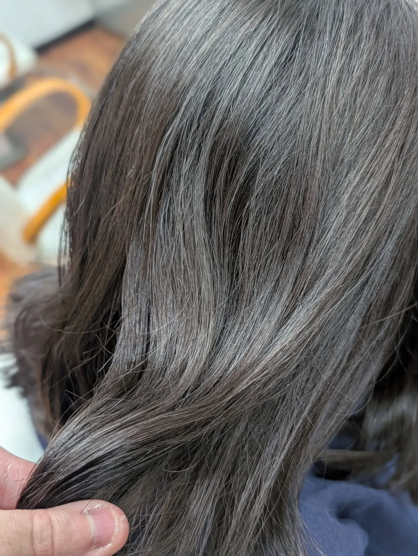 小学生の夢が叶う国宝・世界遺産を守る「漆刷毛ヘアドネーション...