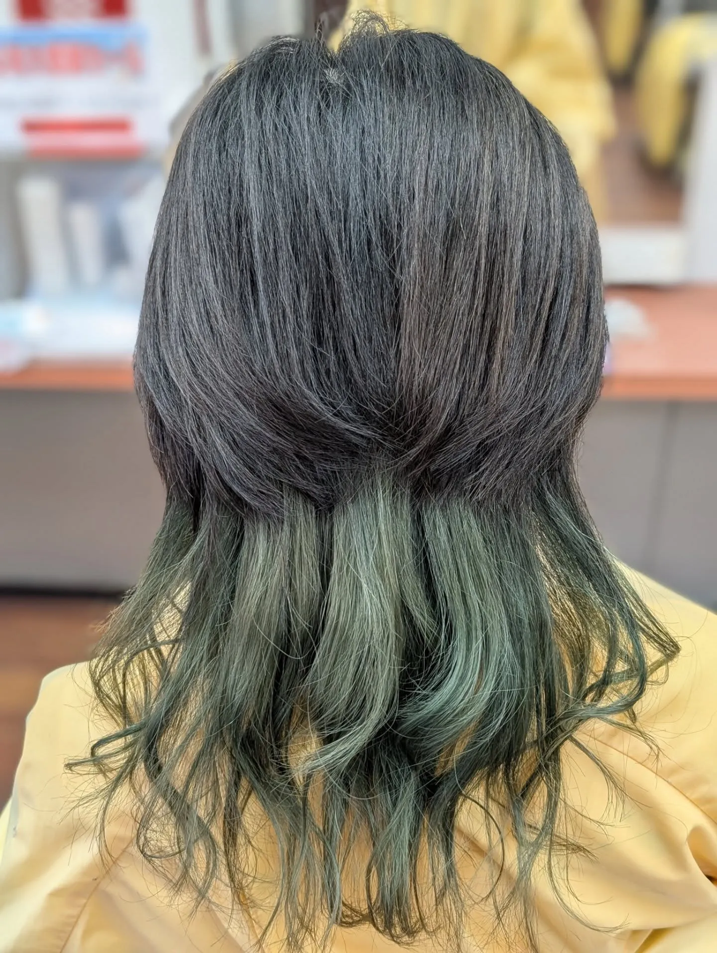 透明感と個性が揺らめく、大人のためのクラゲウルフ。