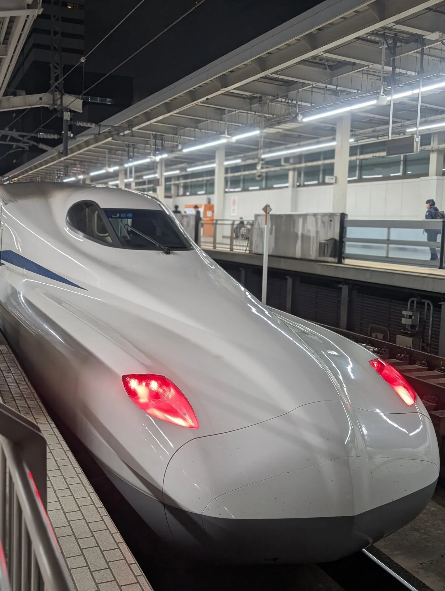 結婚式のお呼ばれヘアは、大好きな『ズートピア』のニック・ワイ...